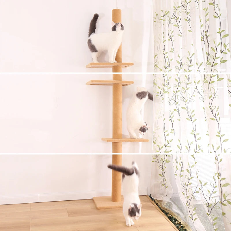 Height 228-272cm Fast Delivery Pet Cats Tree House Condo Adjustable Climbing Stratching Posts for Pet Cat Kitten Funny Cat Trees